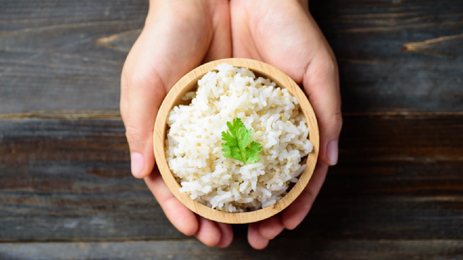 Best Regular Rice Trader and Supplier