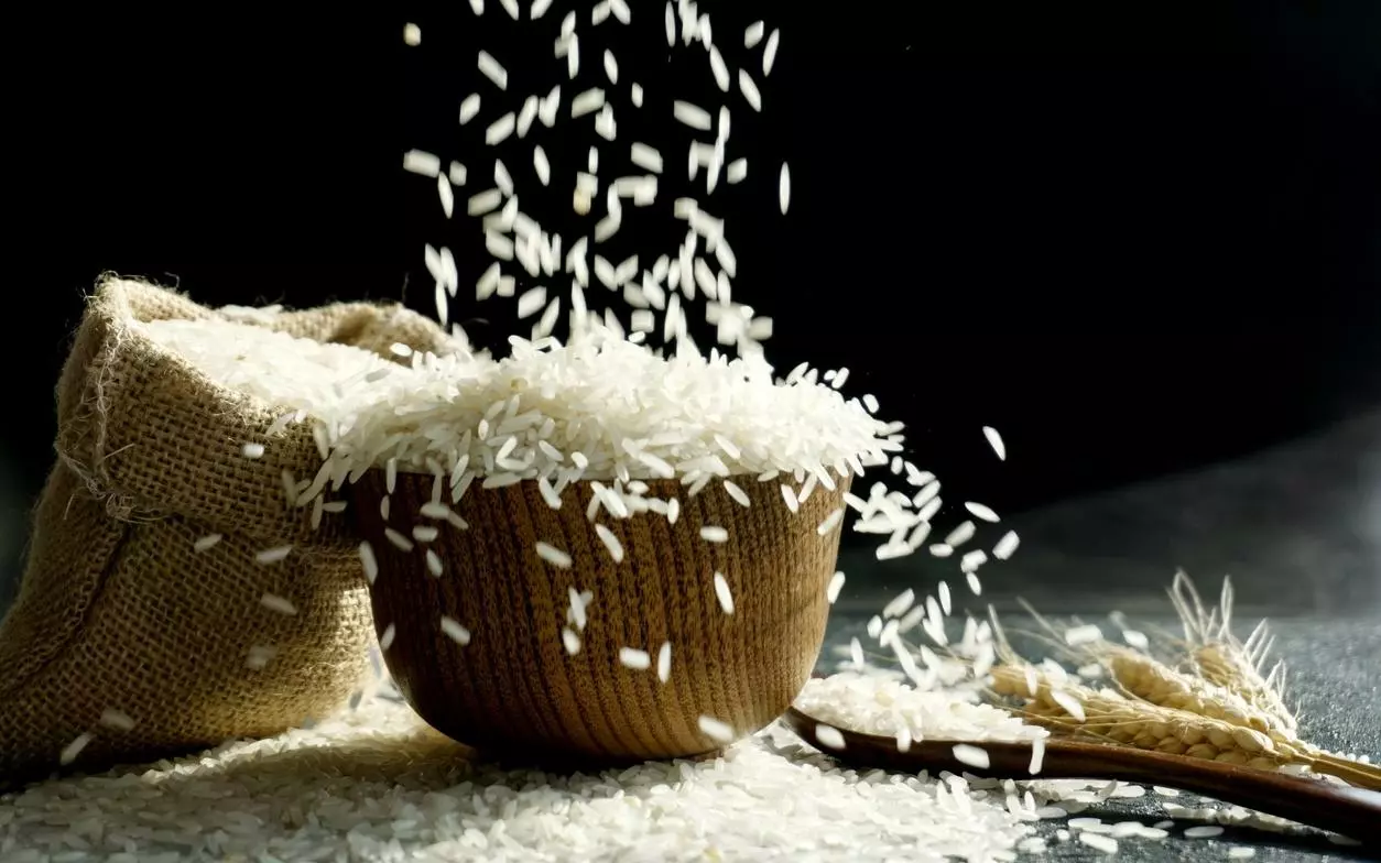 Sawariya Exims is the Best rice exporter in India and Middle East