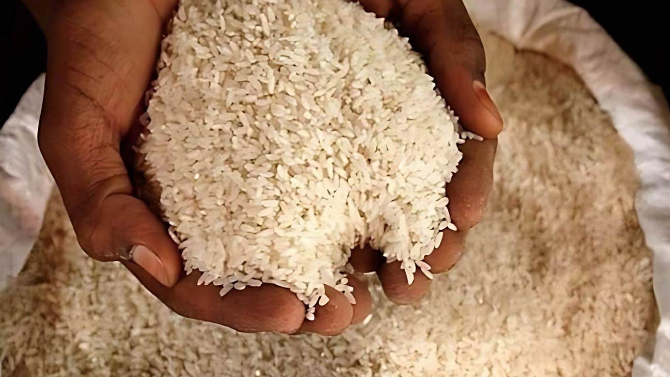 From India to the World: Top From India to the World: Top Regular Rice Exporters Rice Exporters