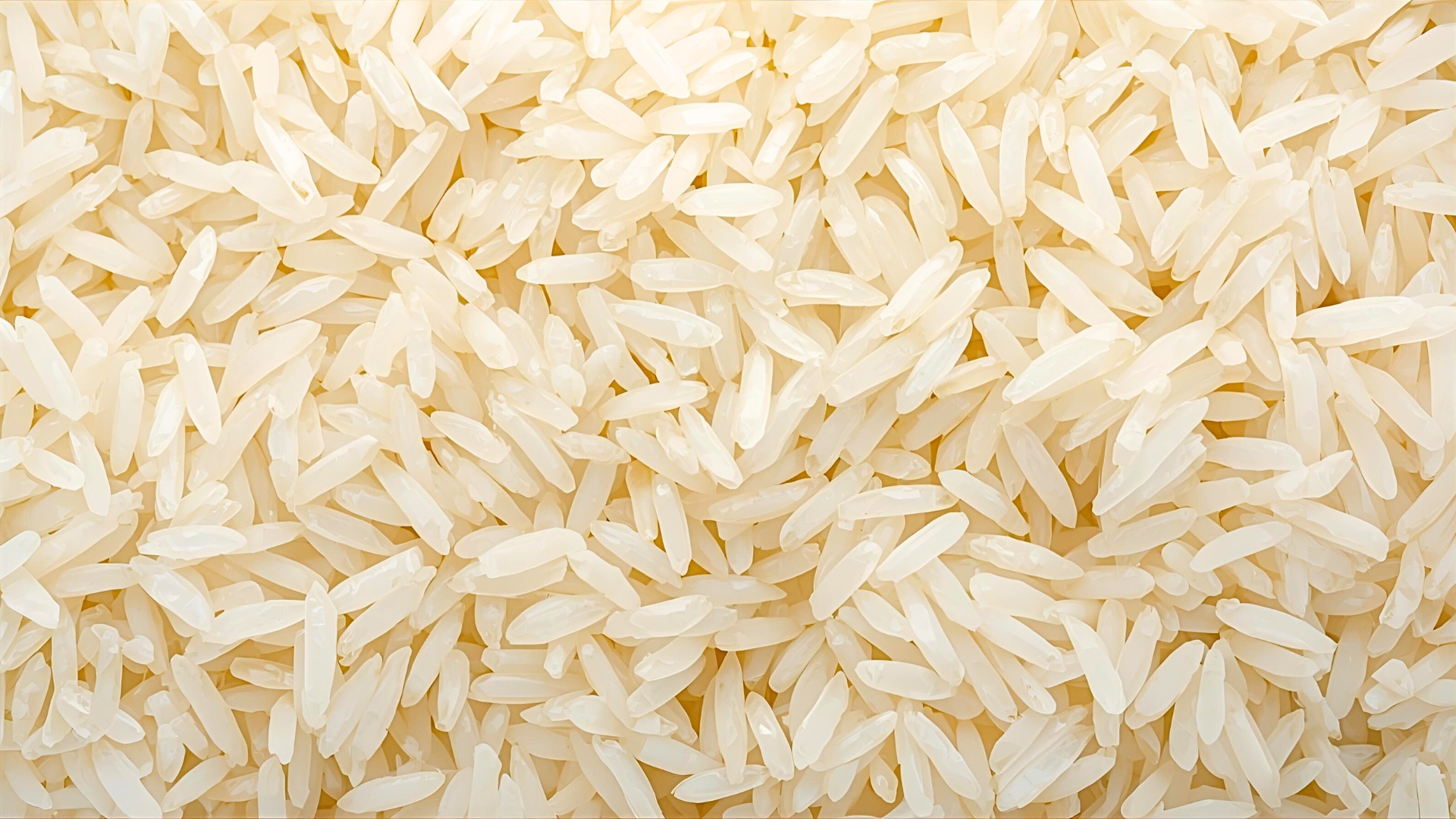 Largest Exporter of Basmati Rice