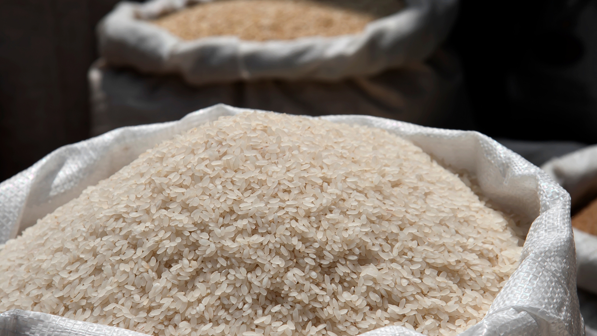 Top Basmati Rice Exporters in Kanpur