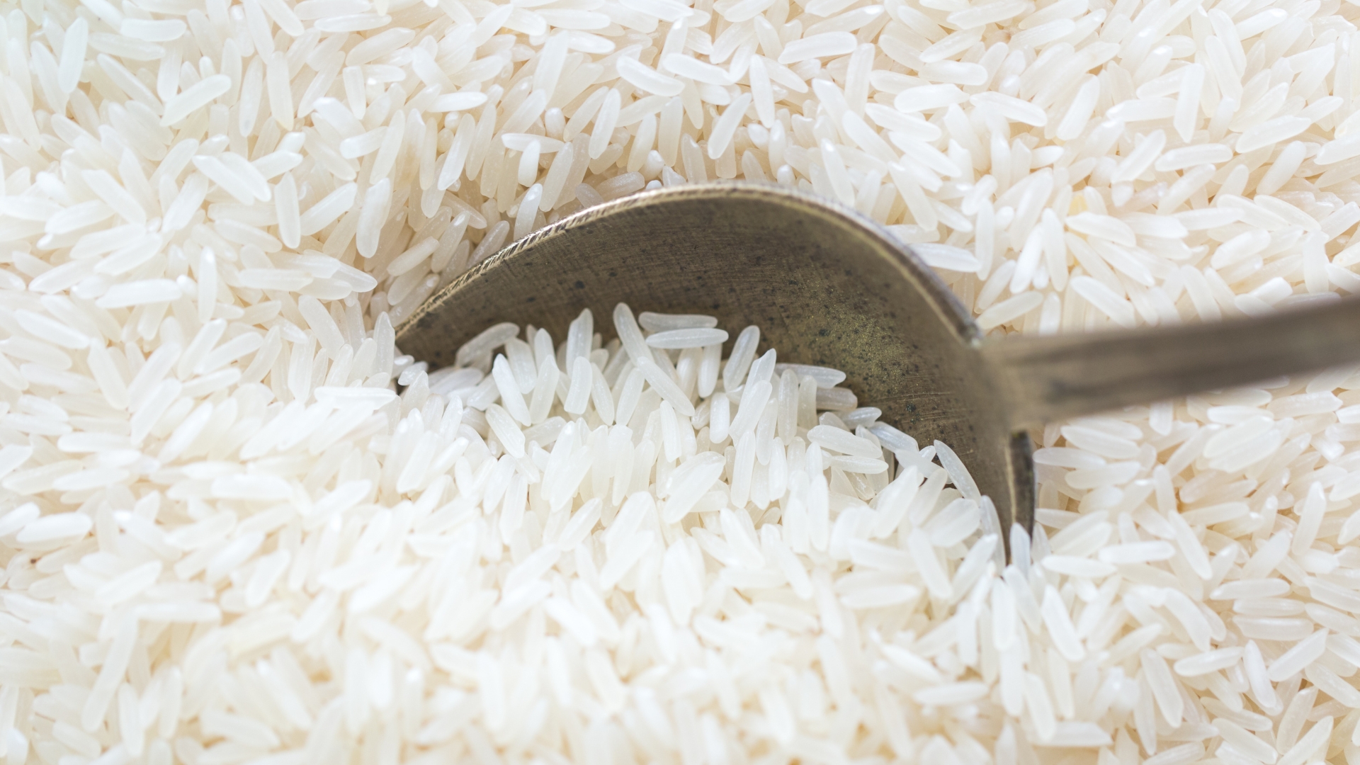 Major Rice Exporter in Uttar Pradesh