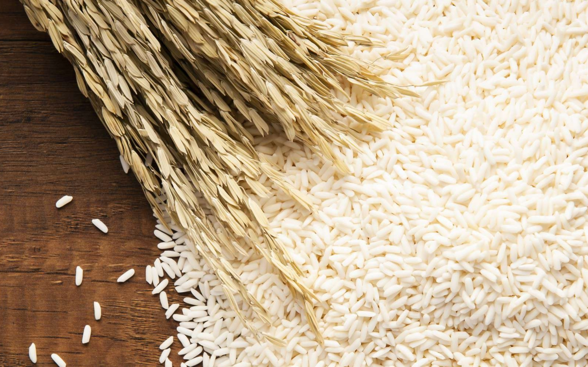 Top Rice Exporter in Kanpur