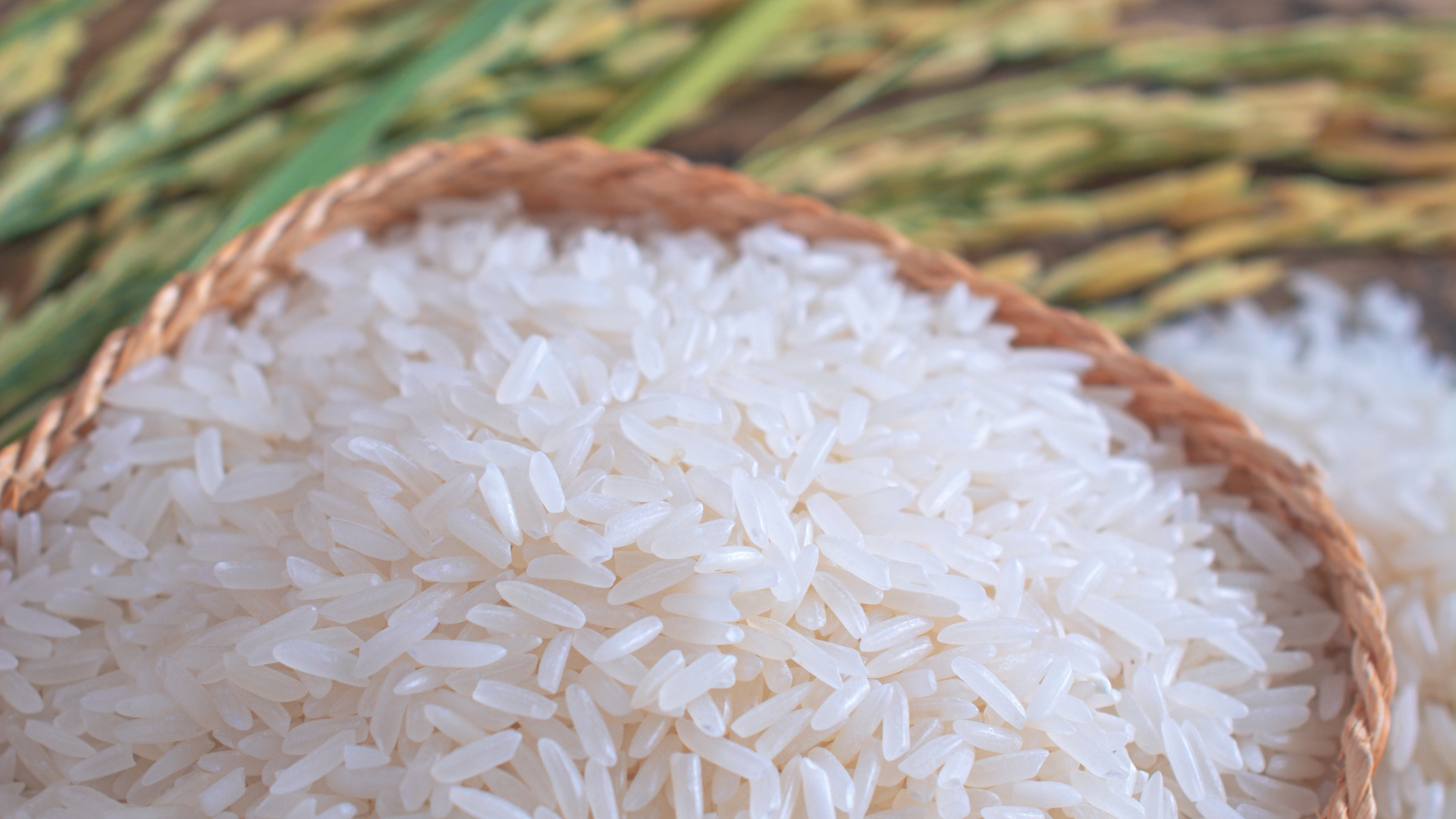 Best 1509 Steam Basmati Rice